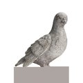 Urban Trends Collection Urban Trends Collection 41519 Cement Cardinal Standing Bird Figurine - Flat Base; Distressed Gray 41519